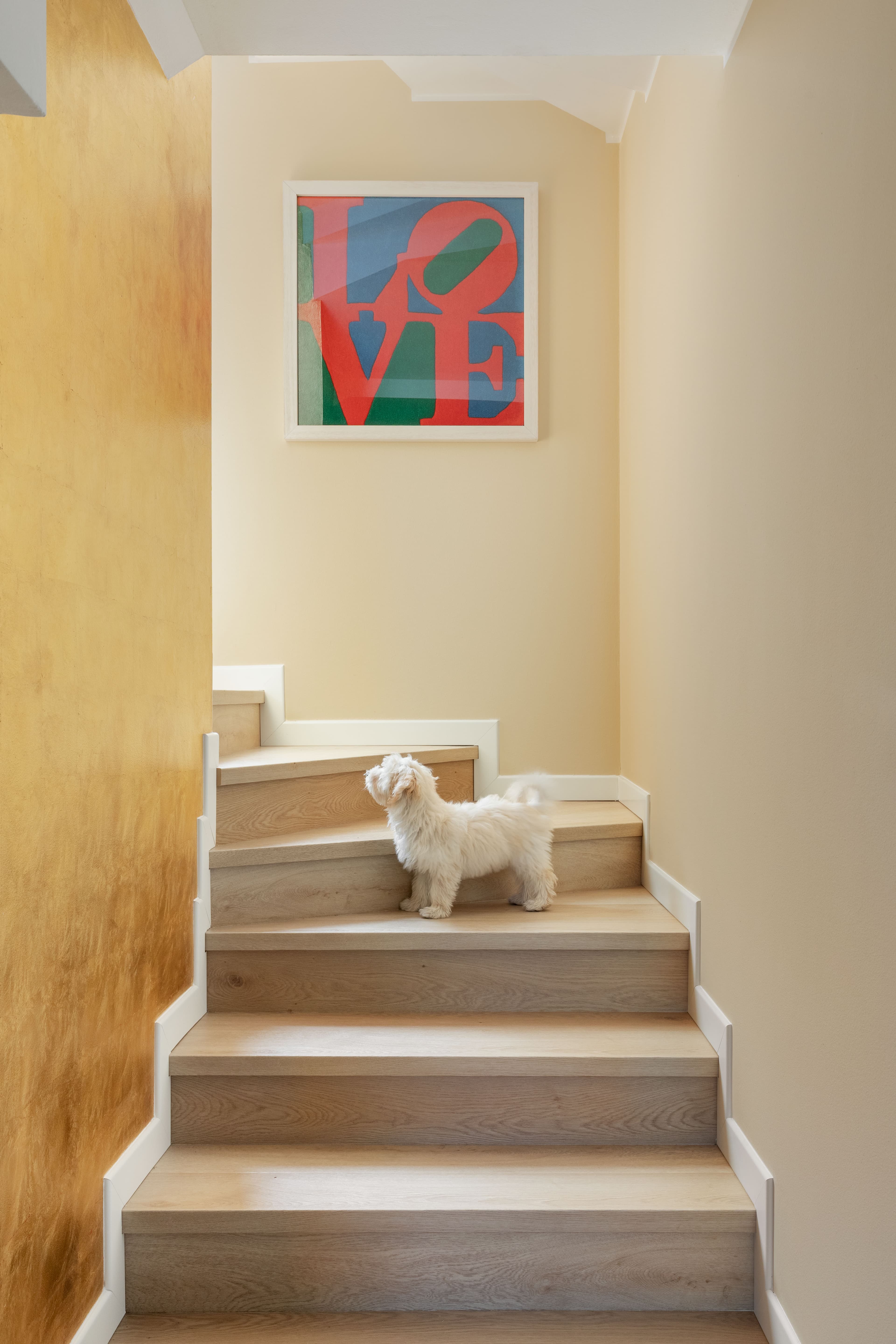 Restyling CASA PEONIA - Immagine 20